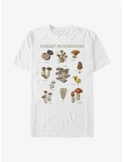 Flash Sale โ Forest Mushrooms T-Shirt ๐ฅ 12 Flash Sale โ Forest Mushrooms T-Shirt ๐ฅ -HT Style Outlet Store 15565643 hi
